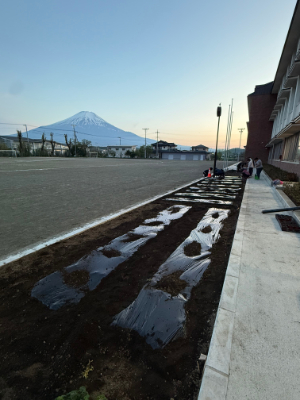 学校の畑3